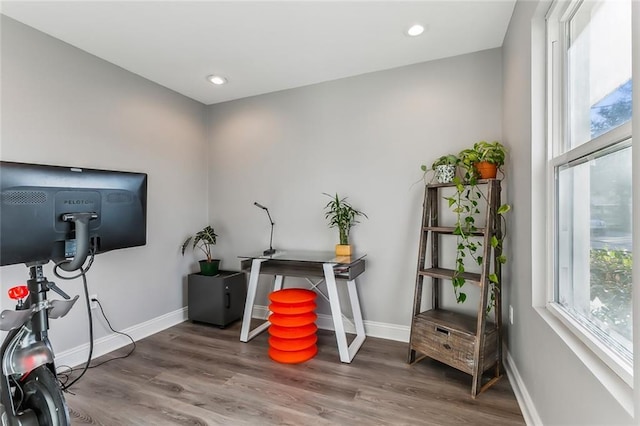 office featuring hardwood / wood-style floors