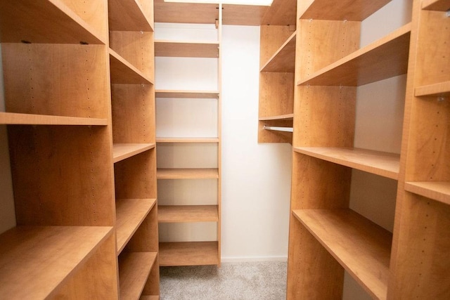 spacious closet with carpet