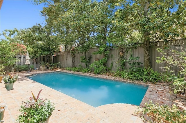 view of pool featuring a patio