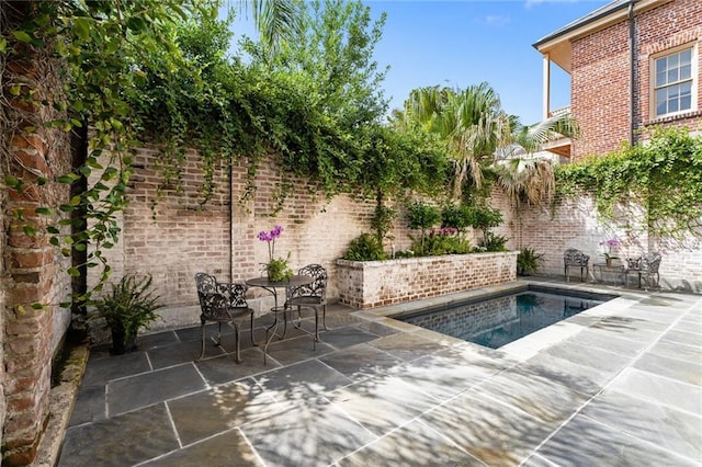 view of pool with a jacuzzi and a patio area