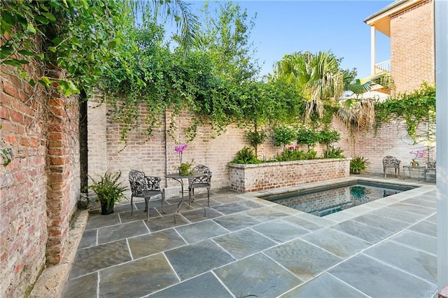 view of pool featuring a jacuzzi and a patio