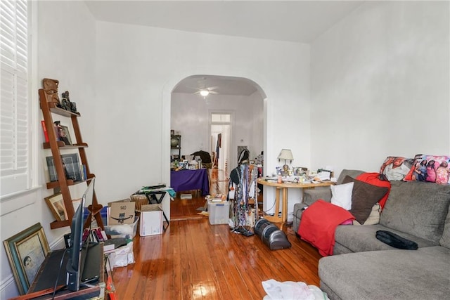 living room with ceiling fan and wood-type flooring