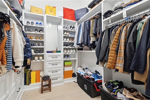 view of spacious closet