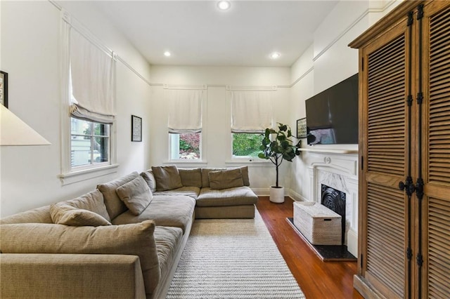 living room with a premium fireplace and dark hardwood / wood-style flooring