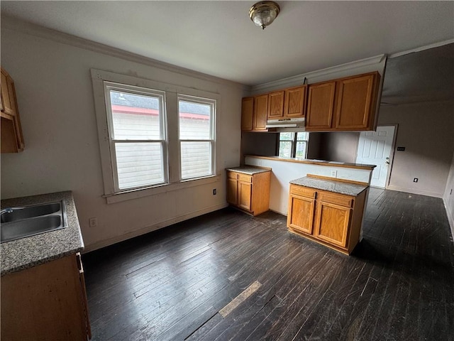 kitchen featuring kitchen peninsula, dark hardwood / wood-style flooring, ornamental molding, and sink