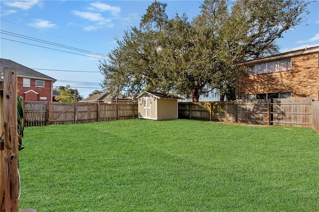 view of yard with a shed