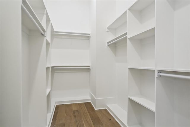 spacious closet with dark wood-type flooring