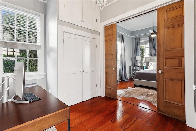 bedroom featuring a notable chandelier, dark hardwood / wood-style flooring, and a closet