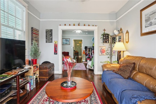 living room with ceiling fan and dark hardwood / wood-style flooring