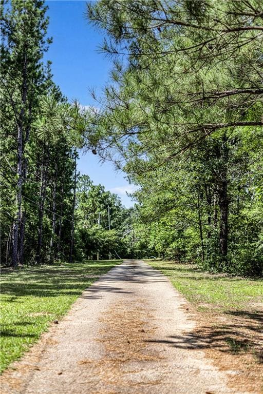 view of street with a view of trees