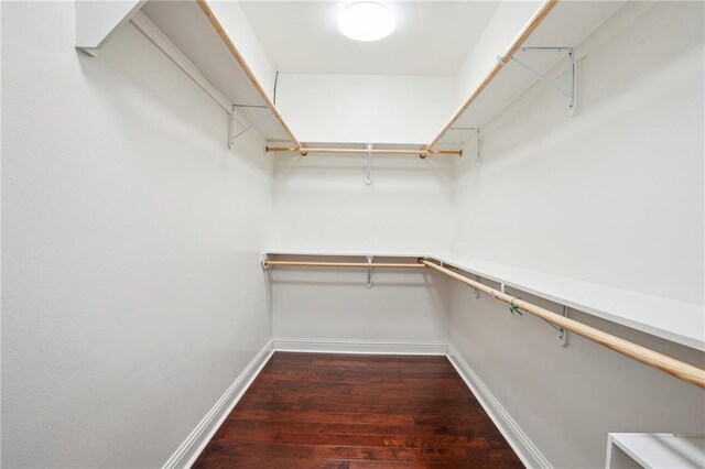 walk in closet with dark wood-type flooring