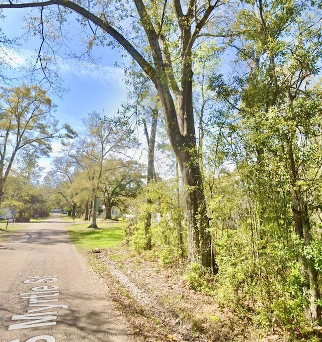 106 S Myrtle St, Amite LA, 70422 land for sale