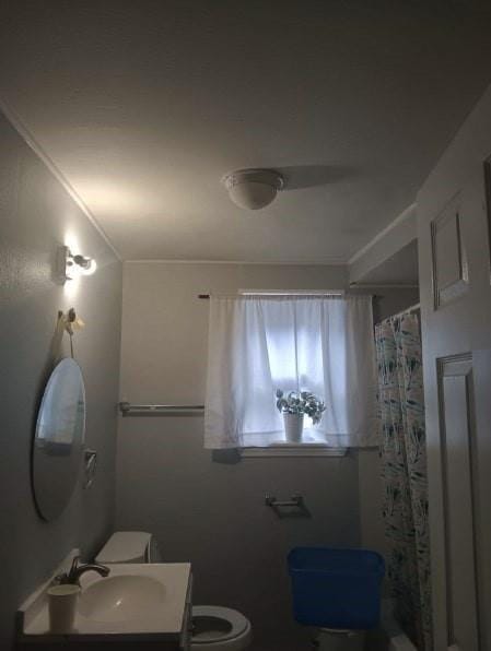 bathroom with vanity, curtained shower, and toilet