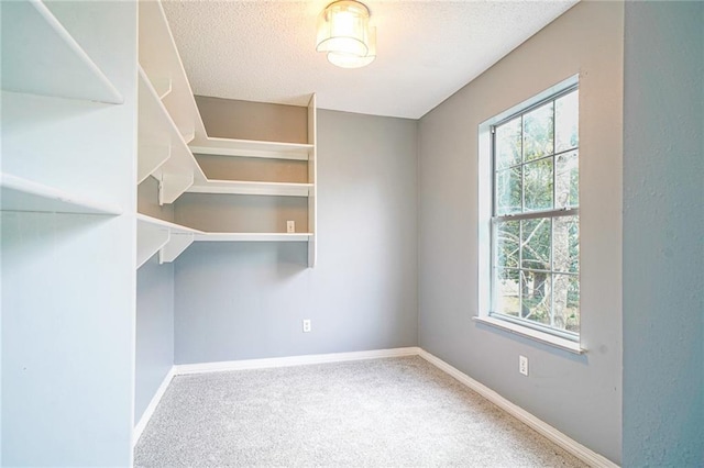 spacious closet featuring carpet