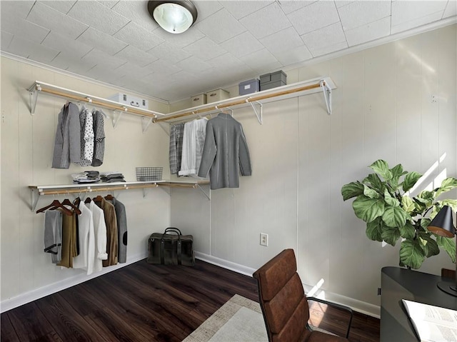 walk in closet with dark hardwood / wood-style floors