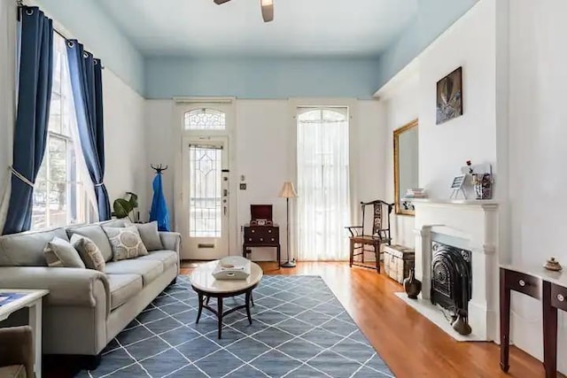 living room featuring ceiling fan and dark hardwood / wood-style floors