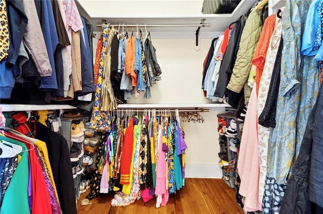 walk in closet featuring wood-type flooring