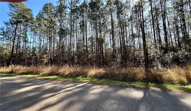 Listing photo 3 for LOT59 Quimet Dr, Abita Springs LA 70420