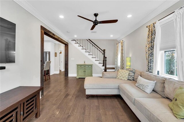 living room featuring crown molding, dark wood-type flooring, and ceiling fan