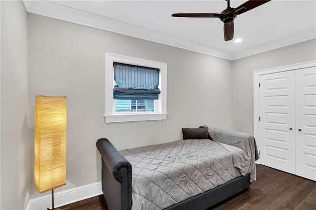 bedroom featuring crown molding, ceiling fan, dark hardwood / wood-style floors, and a closet