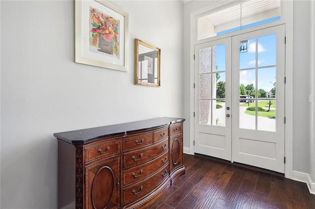 entryway featuring dark hardwood / wood-style floors, a wealth of natural light, and french doors