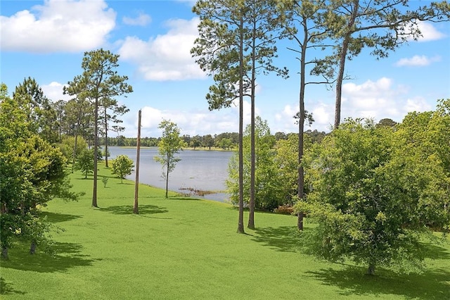 view of community with a water view and a lawn