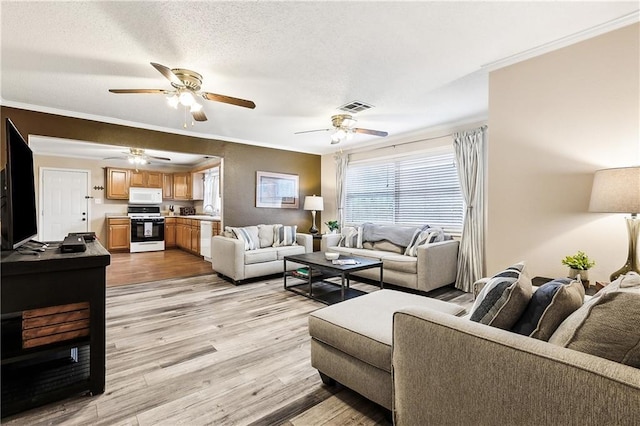 living room featuring sink, light wood-type flooring, ornamental molding, and a textured ceiling