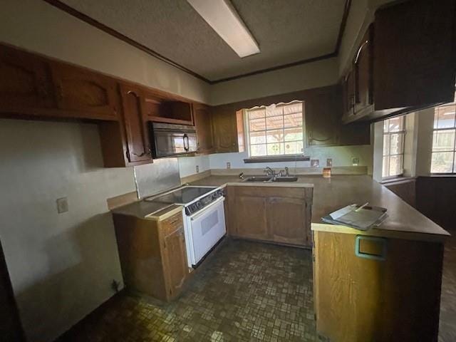 kitchen featuring electric range and sink