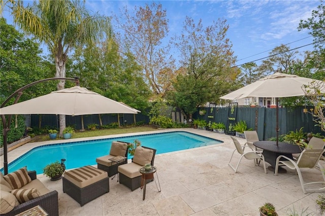 view of swimming pool featuring outdoor lounge area and a patio