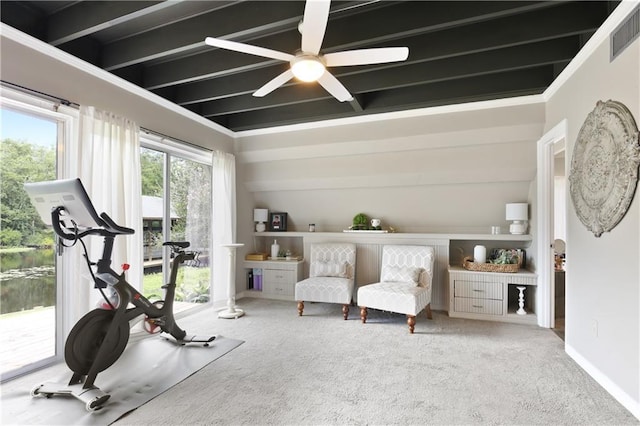 workout area featuring ceiling fan, carpet flooring, and ornamental molding