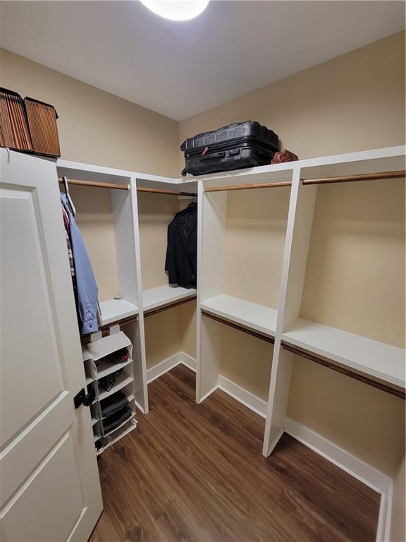 spacious closet featuring dark wood-type flooring