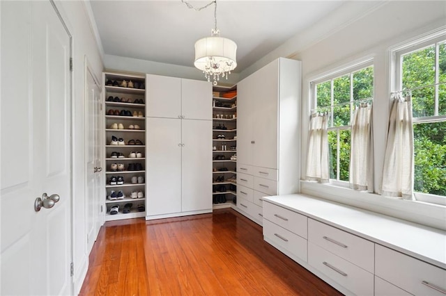 spacious closet featuring a chandelier and hardwood / wood-style floors