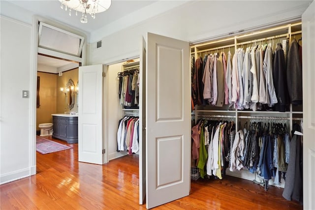 view of closet