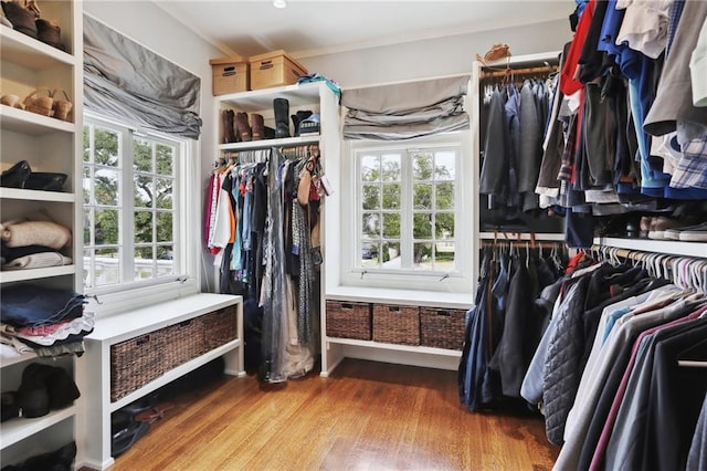 walk in closet with wood-type flooring