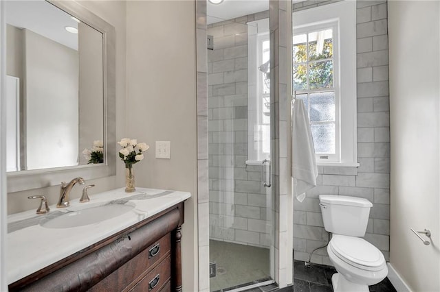 bathroom with plenty of natural light, a shower stall, toilet, and vanity