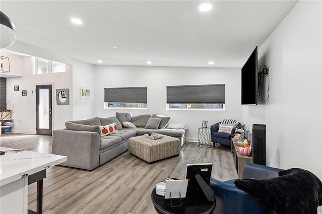 living room featuring light hardwood / wood-style flooring