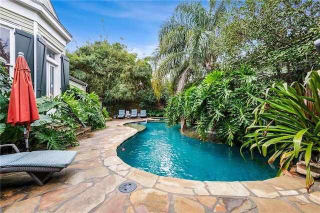 view of pool with a patio