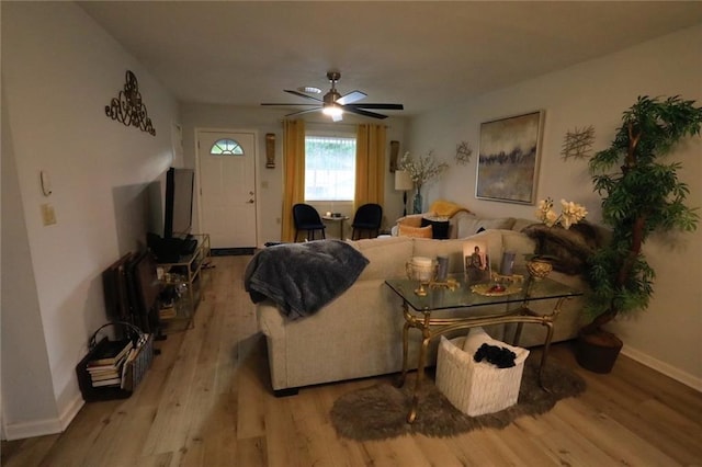 living room featuring ceiling fan and light hardwood / wood-style flooring