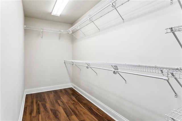 walk in closet featuring dark hardwood / wood-style flooring