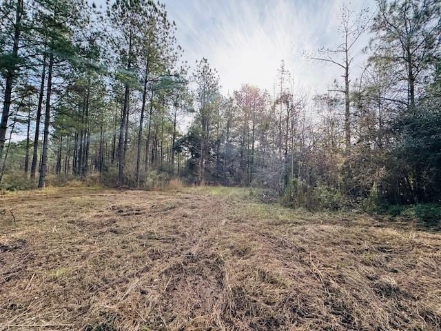 Listing photo 3 for 40097 W 440th Hwy, Franklinton LA 70438