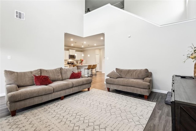 living room with hardwood / wood-style floors and a towering ceiling