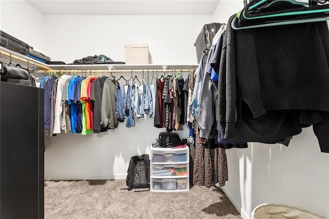 walk in closet with light colored carpet