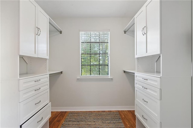 walk in closet with dark hardwood / wood-style floors