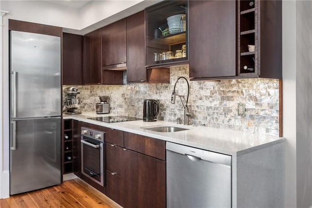 kitchen with sink, appliances with stainless steel finishes, backsplash, dark brown cabinetry, and light hardwood / wood-style floors