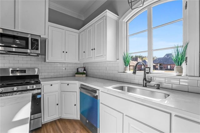 kitchen featuring white cabinets, stainless steel appliances, dark wood-type flooring, and sink