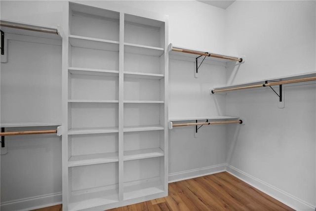 spacious closet with hardwood / wood-style floors