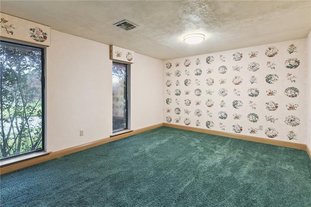 carpeted spare room with a textured ceiling