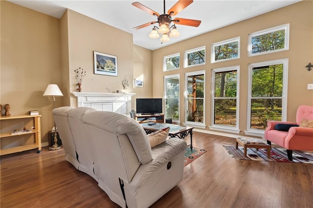 living room featuring ceiling fan and wood-type flooring