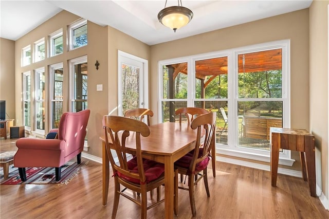 dining area with light hardwood / wood-style floors and a wealth of natural light