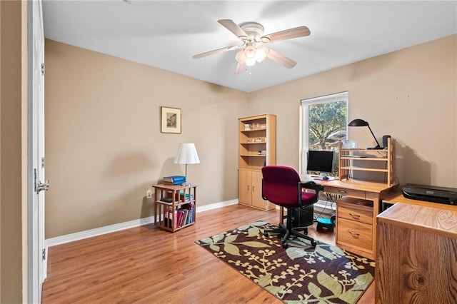 office featuring light hardwood / wood-style floors and ceiling fan